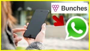 app.bunches.chat